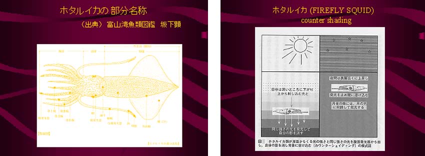 第10回　図5-6.jpg